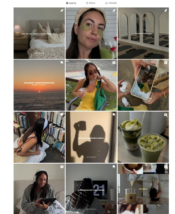 美國Instagram生活家用電器品牌出海博主達人推廣頻道內(nèi)容