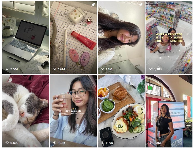 Instagram網(wǎng)紅推廣:美國互動率高的生活類博主頻道內(nèi)容